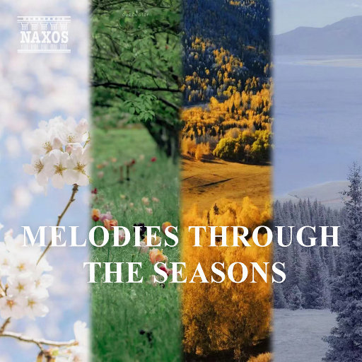 美女光屁屁18禁灌肠济
